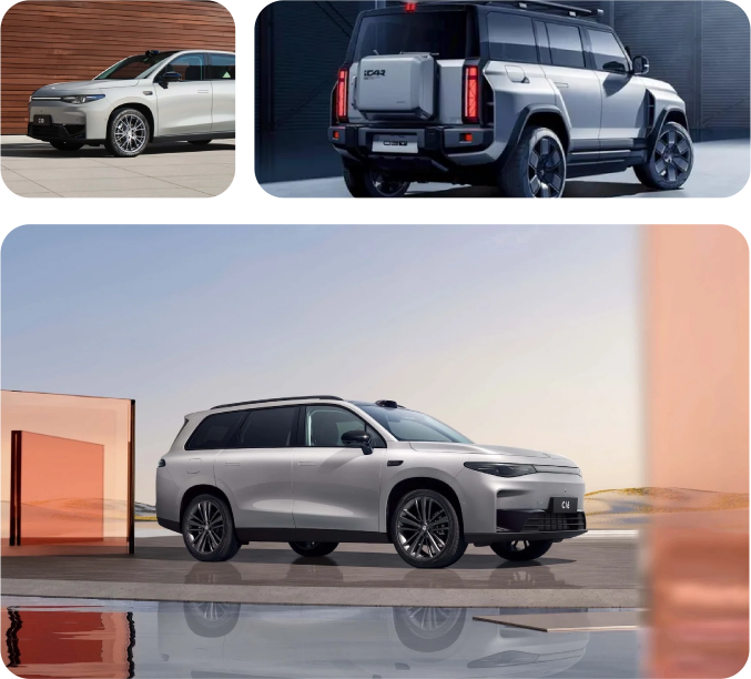 expert_choosen_new_img